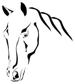 GallaDesigns's profile picture. Unique one of a kind horse hair jewellery.