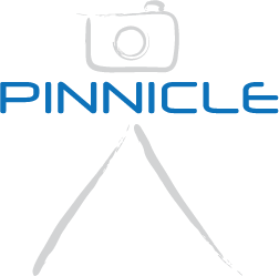 pinnicle's profile picture. Professional photographer specialising in dog action photos (flyball, agility, lure coursing, obedience and show), family and pet portraits, weddings