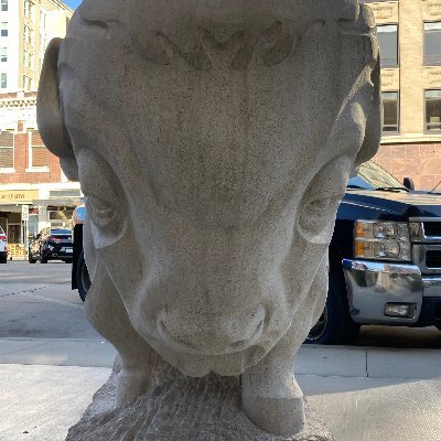 elocin100's profile picture. 