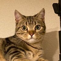 佐々木 義明 (@sasakiyoshiaki5) 's Twitter Profile