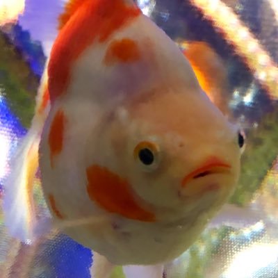 R6 一級建築士および消防設備士(甲1・4)合格。R7は建築設備士受験予定。釣りが好き。息抜き大事。 無理な計画は立てない。 仕事も頑張る。