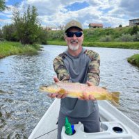 Greg Stiefel (@gregstiefel) 's Twitter Profile