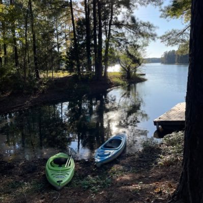 Gretchen Seif Profile