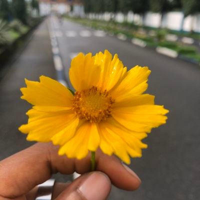 AyoolaJoel3's profile picture. Sailor/Music lover/Omo Yoruba/WMB/Extraordinary/Chelsea FC 💙