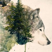 Lykaia (@lykaia_) 's Twitter Profile Photo Lykaia (@lykaia_) 's Twitter Profile Photo