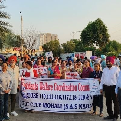 We are RWS sector 110_111 TDI city MP2 , Mohali , Punjab