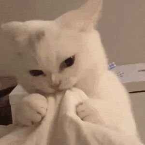 leetCodeKing's profile picture. 还是学生啦~各位姐姐留步呀~