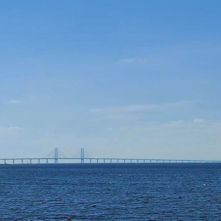 GriddyAmbasador's profile picture. 