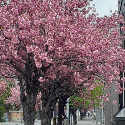 f0ElIhUxDpw6L0C's profile picture. 