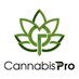Cannabis Pro (@cannabis_pro) Twitter profile photo