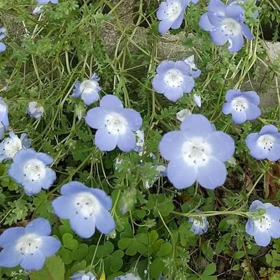 EcoSetsu123's profile picture. 🌌孤独な介護人。シルバー。
介護に関する日頃の工夫や節約、独りよがりの温暖化対策、野菜作り等。