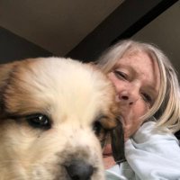 Pauline Fulham (@paulinefulham) 's Twitter Profile