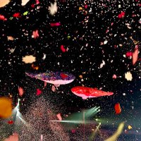 あんこ (@kaori_0821) Twitter profile photo