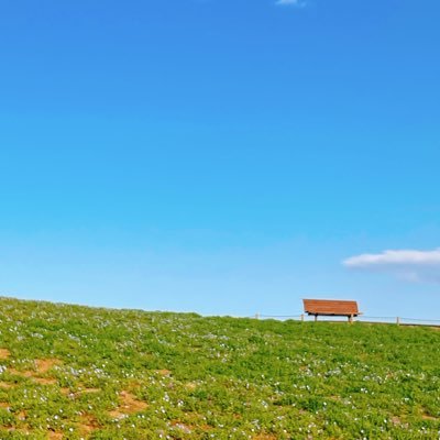 hizyouzitai's profile picture. ぽろぽろ、すくって。