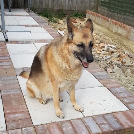 kshlta's profile picture. Retired at last!