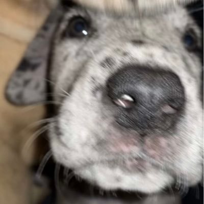 saraa_cmps's profile picture. 