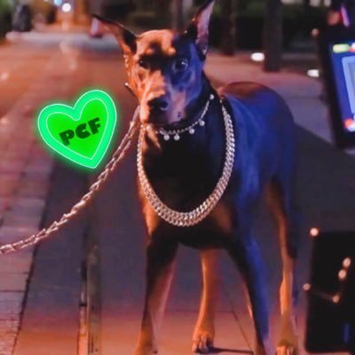 doberman_3rd's profile picture. D6/DI/JSB3/PCF/SWAY:KAZUKI:ØMI:小波津志/劇団EX箱■MIU404→綾野剛■臣ANS→PCF/D6☞‘16H&LBASE‘17‘18’19ウチアゲ’24/臣上海ファンミ/MUSICBOX/スパボMV/気合入れ/SWAYと筋トレ/🚌/リリイベ記念ライブ鯖🇹🇭PCFlive