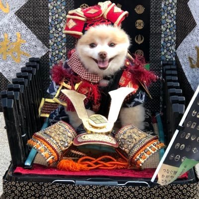 leyton_1993's profile picture. あついところきらい。