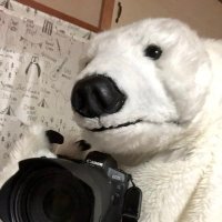 ぽらきち (@mirimiri_trip) 's Twitter Profile Photo ぽらきち (@mirimiri_trip) 's Twitter Profile Photo