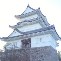 ルータス (@lutus) Twitter profile photo