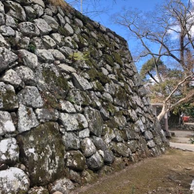 #城、#お寺、#神社、#御朱印、#御城印、頂いてます♪#ドラクエウォーク、#グルメ、#お酒 ＃阪神タイガース ＃お洒落 ＃花 ＃動物 が好き。始めたばかりですがどうぞ仲良くして下さいね♪ P.S.スポーツ🏀に趣味に仕事に楽しんでいたら独身を謳歌😆副業、エロ❌