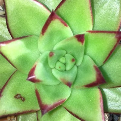 GfQJAU2Bd3PJS7M's profile picture. のんびりマイペースでツイートしたりしなかったり(*⁰▿⁰*)