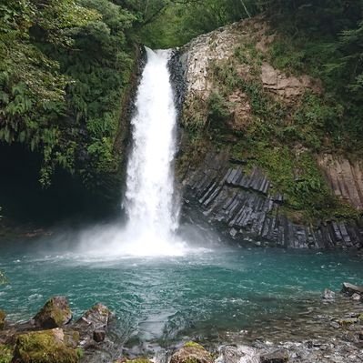 kanegasaki1's profile picture. 