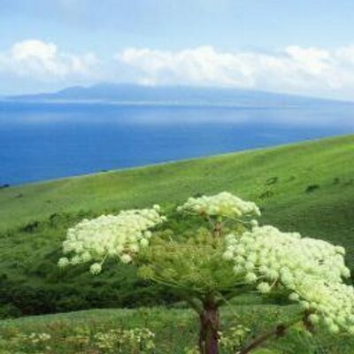 旅人です。礼文島・小笠原諸島南島が好き。専門は化学の小学校教員。7年ほど大学でサイエンスを教えてました。図書館司書資格・アマチュア無線技師。雑食モデラー。DQウォーカー。ブラスバンド部ではパーカス。ピアノ・ギター練習中。『愛とロマンの8時間コース』毎年踏破