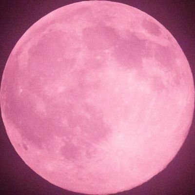 メアリー・ライリーさんのプロフィール画像