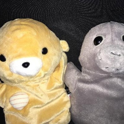 共通良識は多数派の情緒。諸行無常。朝聞道夕死可矣。民可使由之不可使知之。倉廩實則知禮節衣食足則知榮辱。井蛙。 格闘技観戦、読書・映画・漫画アニメ、美術館博物館巡り、歴史・語学、ジグソーパズル・数独が趣味。 ノート https://t.co/ub3RoBoHbC amazonアソシエイトに参加しています。