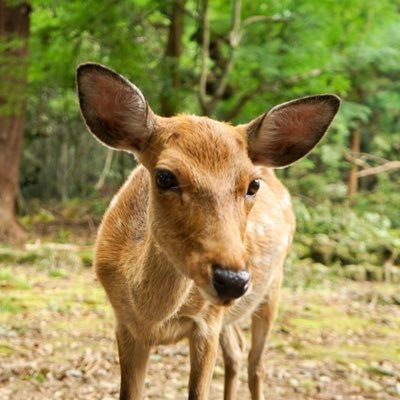 社会人10年目/ネットワーク系のお仕事/ポルノ(ラバッパー)/カメラ/遊戯王/登山始めました