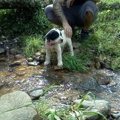 JCreekFarms's profile picture. Follower of Christ,
Husband,
Dad,
Veteran,
Author,
Investor.