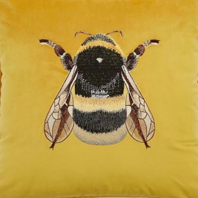 deathrulesus's profile picture. I long for distance seas,where there holds no sorrows,no display of wealth but pure happiness and respect for one another....