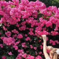 Goli__lovely (@golilovely) Twitter profile photo