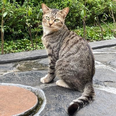 vlrdt's profile picture. Austin 林 💜
When I'm hungy I'll get angy