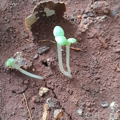 adi27588's profile picture. जय श्री राम | हिंदू हमारी संस्कृती हमारी विरासत |😍 Indian Army | हाडाचा मराठी l Software Engineer | Luxembourg to Pune |