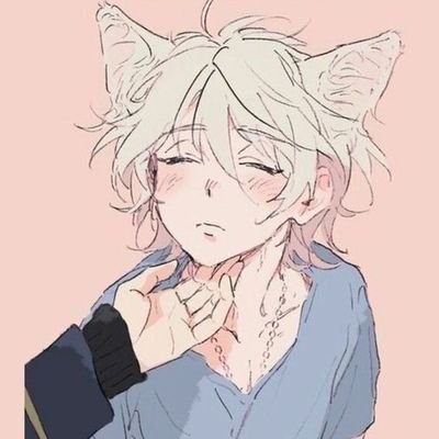meow!! • following only catboys ;3 • ran by @obscuritii!!