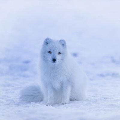 Mount9031's profile picture. 読書記録中心に。ミステリーが好きです