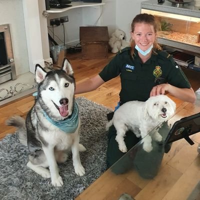 travelling, running and paramedicing 🗺️🏃🏼♀️🚑
just trying to avoid responsibility as long as possible...
