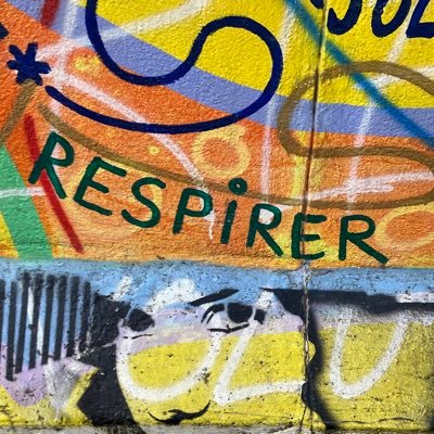 brambibrambi's profile picture. 