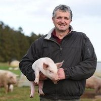 Robert D McGregor (@robonthefarm1) 's Twitter Profile