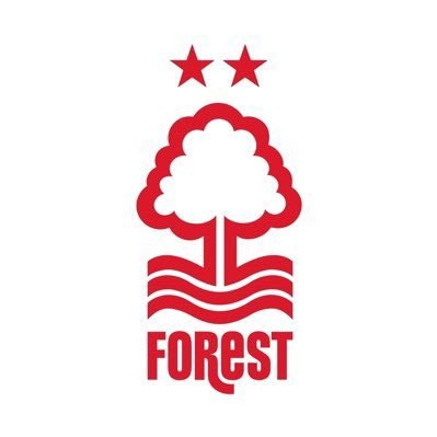 Jimjamhell's profile picture. Mainly tweet about Forest