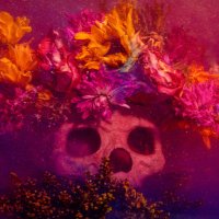 AtlasElison (@atlaselison) 's Twitter Profile
