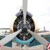 warbirdsphotos (@ajuliashaw) Twitter profile photo