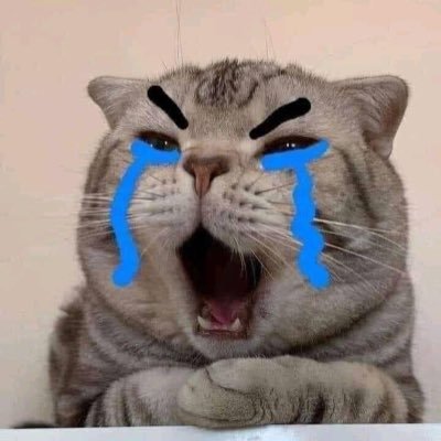 Plakriim's profile picture. 