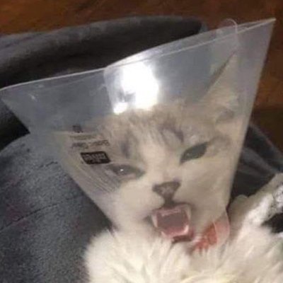 Redeyeswhitecr1's profile picture. 