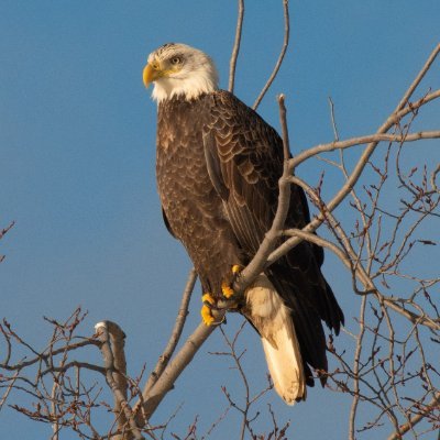 Lake Huron denizen, conservationist.