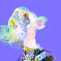 👑Sammy {evm/acc} (@_thecabal) 's Twitter Profile