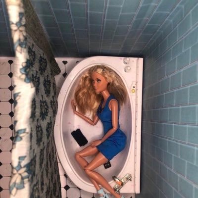 secret account | 🌈✂️| fem 🦋| 23| i ❤️ epftb| best friend wanted 🫶🏼