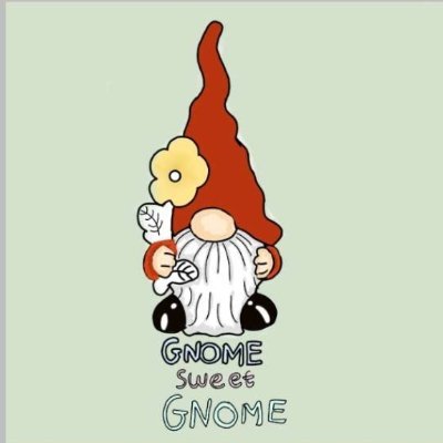 Hi everyone! We're a mini enterprise run by 4 passionate 1st years in @Ramsgrange_CS Message this page for orders. Remember, every home should have a gnome!